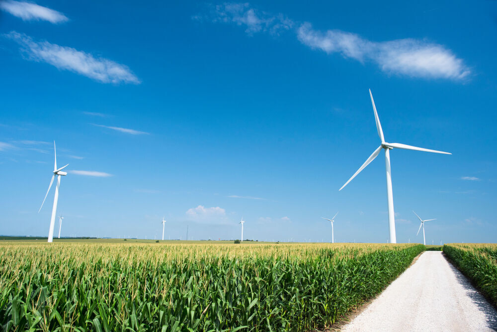States That Produce the Most Renewable Energy